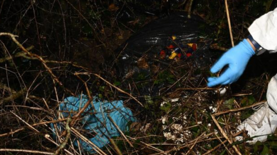 Resti di animali trovati tra Loreto e Porto Recanati: indagine su un possibile cimitero clandestino