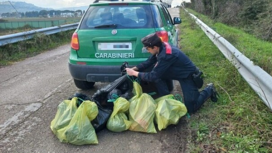 Scoperto cimitero clandestino di animali tra Porto Recanati e Loreto: trovate carcasse di 27 cani e un gatto