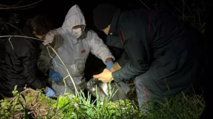 Porto Recanati, aumentano i resti di cani: rinvenute altre ossa in sacchi di plastica, oltre 10 nuove carcasse