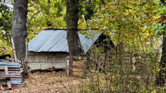 Famiglia del bosco, la madre rompe il silenzio: “Mi sento male, i miei figli vivono nella paura”