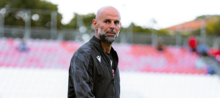 Vis Pesaro - Campobasso, Stellone: "Servono punti subito, dobbiamo ritrovare entusiasmo e cattiveria"