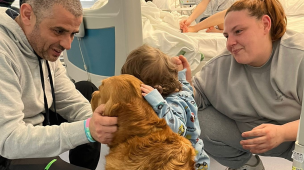 Pet Therapy in Pediatria: al via il progetto per i bambini ricoverati negli ospedali di Pesaro e Fano