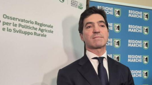 Agricoltura italiana protagonista in Europa, Acquaroli: “Ora dettiamo noi la linea e non la subiamo”