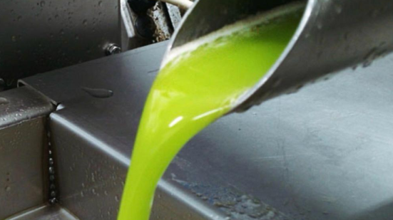 Olio d’oliva, l’Unione Europea respinge il raddoppio delle importazioni tunisine a dazio zero