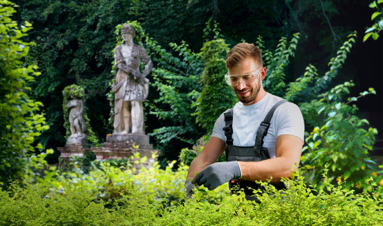 Pesaro, al via il corso gratuito per Giardiniere d’arte nei parchi e giardini storici