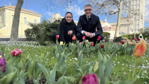 Pesaro, 470 tulipani nel “Giardino della vita” per i nuovi nati del 2025