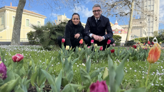 Pesaro, 470 tulipani nel “Giardino della vita” per i nuovi nati del 2025