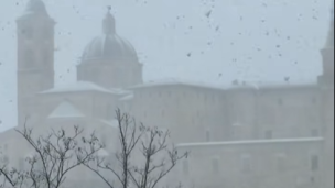 Maltempo Marche, vento forte e neve: difficoltà alla circolazione nell’area di Urbino