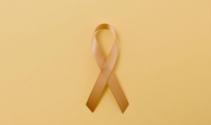 Giornata mondiale dell’endometriosi 2026, Marche: iniziative e rete regionale per diagnosi e cura