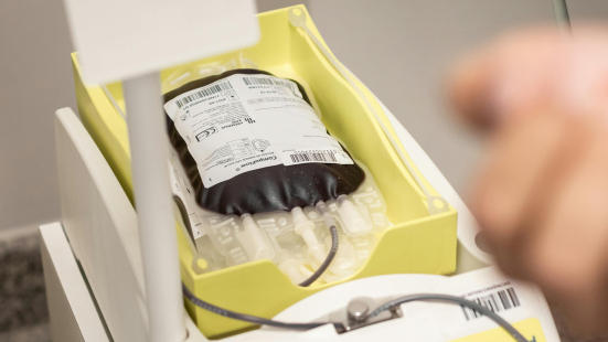 Ancona, 323 sacche di plasma eliminate all’Officina del sangue: polemiche su personale e gestione