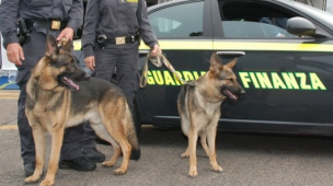 Maxi sequestro di farmaci dopanti al porto di Ancona: 30mila anabolizzanti nascosti su un tir