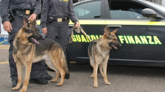Maxi sequestro di farmaci dopanti al porto di Ancona: 30mila anabolizzanti nascosti su un tir