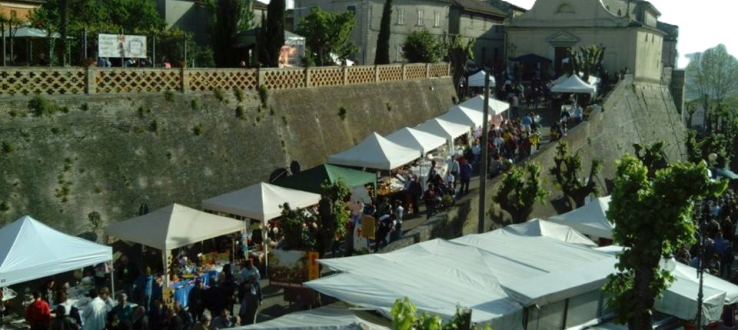 Torna la Fiera di San Giorgio a Terre Roveresche: tradizione, sapori e spettacoli per tutto il giorno