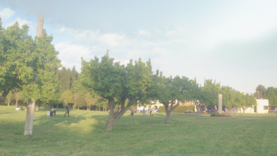 Pesaro, torna la Fiera Regionale del Riuso al Parco Miralfiore: quattro giorni tra spettacoli e mercatini