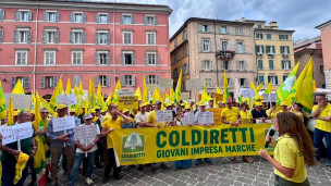 Coldiretti Marche in piazza ad Ancona: “Più controlli su grano e olio importati per tutelare Made in Italy”