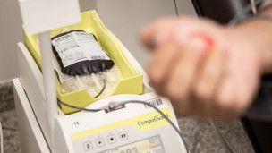 Giornata Mondiale del Donatore di Sangue: Pesaro si illumina di rosso per promuovere la donazione