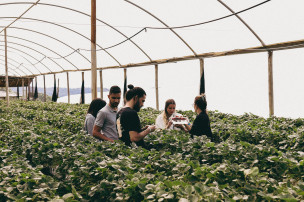 Oscar Green 2026, aperte le iscrizioni al premio Coldiretti per i giovani imprenditori agricoli