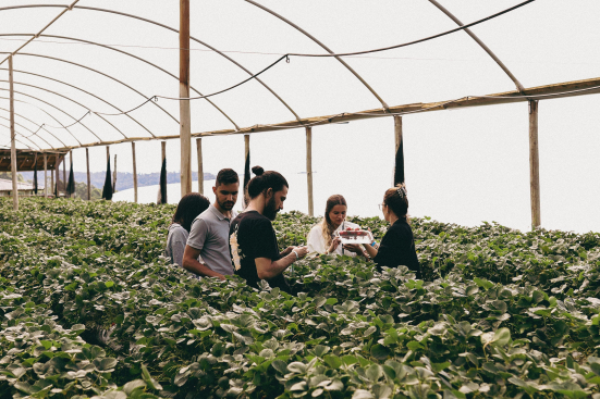 Oscar Green 2026, aperte le iscrizioni al premio Coldiretti per i giovani imprenditori agricoli
