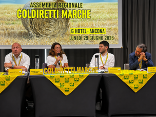 Agricoltura Marche, Coldiretti: ricambio generazionale, investimenti irrigui e tutela del Made in Italy tra le priorità