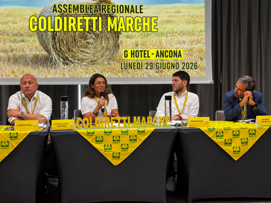 Agricoltura Marche, Coldiretti: ricambio generazionale, investimenti irrigui e tutela del Made in Italy tra le priorità