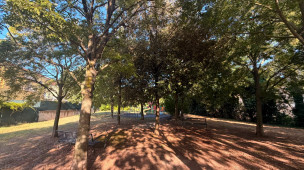 Parco di via Bologna: Ascoltiamo Pesaro chiede riqualificazione, sicurezza e soluzioni per i parcheggi