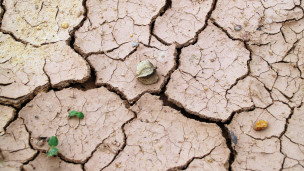 Pesaro, ordinanza contro la siccità: limitazioni all'uso dell'acqua potabile fino al 30 settembre