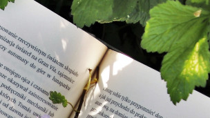 Isola della Cultura a Pesaro, dal 4 al 6 settembre libri, incontri e arti visive