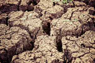 Terremoto Marche, a 10 anni dal sisma ancora 357 aziende agricole con strutture emergenziali