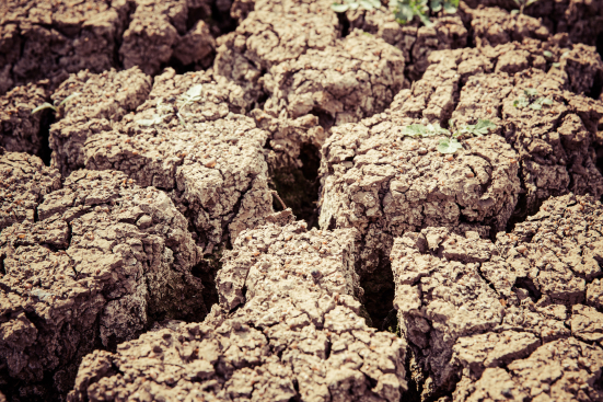 Terremoto Marche, a 10 anni dal sisma ancora 357 aziende agricole con strutture emergenziali