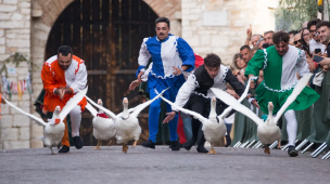 Palio della Rocca, Serra Sant’Abbondio celebra 40 anni di storia dal 4 al 6 settembre