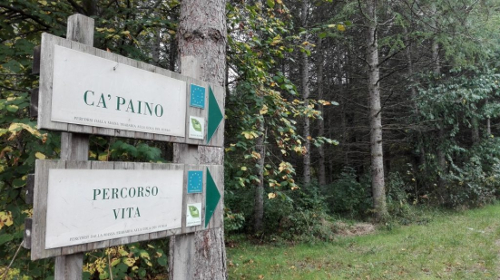 Fermignano, al via la riqualificazione forestale del bosco di Cà Paino