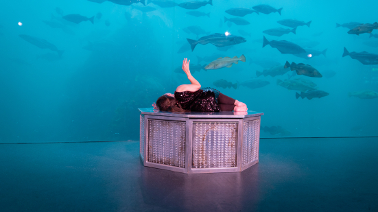"L’animale" di Chiara Bersani a Pesaro: spettacolo al Teatro Rossini il 25 settembre
