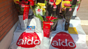 Giornata nazionale AIDO 2026, il 26 e 27 settembre la sensibilizzazione sulla donazione di organi