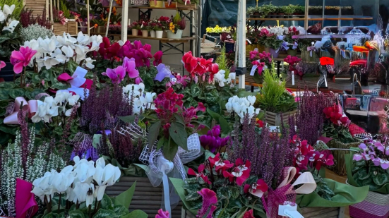 Mostra mercato dei fiori a Pesaro, la 72ª edizione torna in piazza del Popolo dal 2 al 4 ottobre