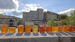 Festa del Miele a Belforte all’Isauro, dal 9 all’11 ottobre la 38ª edizione
