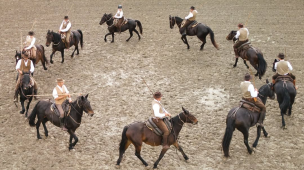 Cantiano Fiera Cavalli 2026, domenica 18 ottobre torna la festa del Cavallo del Catria