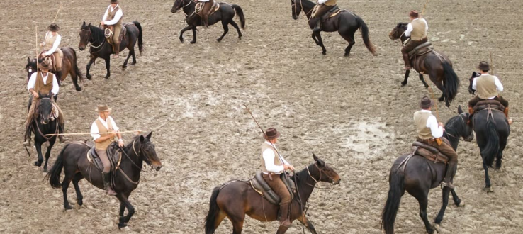 Cantiano Fiera Cavalli 2026, domenica 18 ottobre torna la festa del Cavallo del Catria